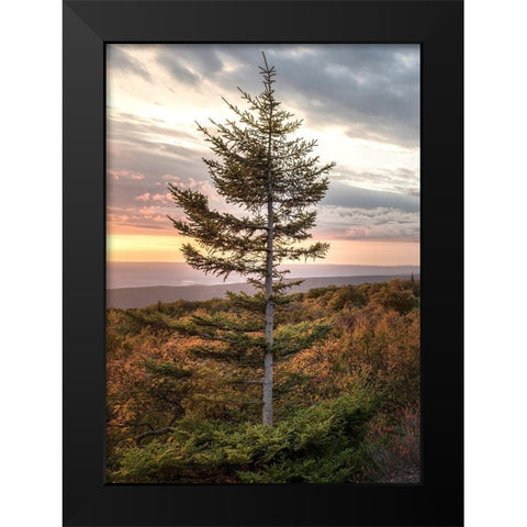 Standing Alone Black Modern Wood Framed Art Print by Head, Danny