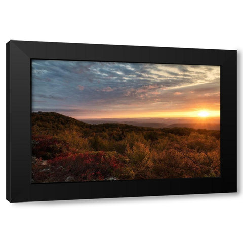 Beginnings Black Modern Wood Framed Art Print with Double Matting by Head, Danny