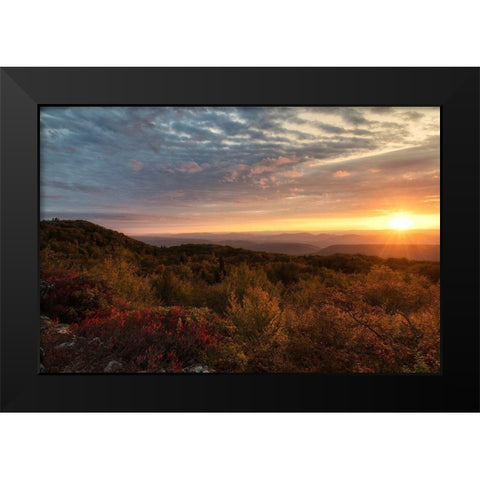 Beginnings Black Modern Wood Framed Art Print by Head, Danny