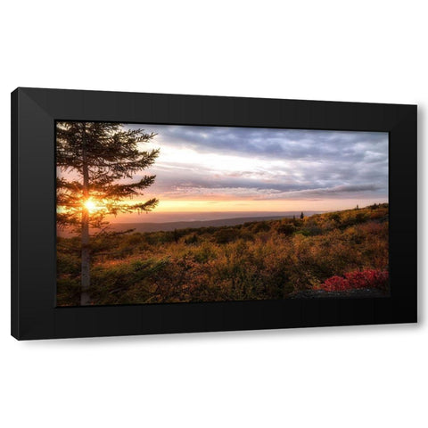 Coming Alive Black Modern Wood Framed Art Print by Head, Danny