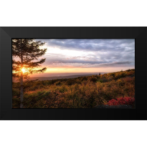 Coming Alive Black Modern Wood Framed Art Print by Head, Danny