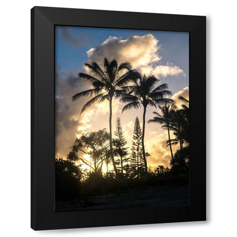 Palm Silouette I Black Modern Wood Framed Art Print by Head, Danny