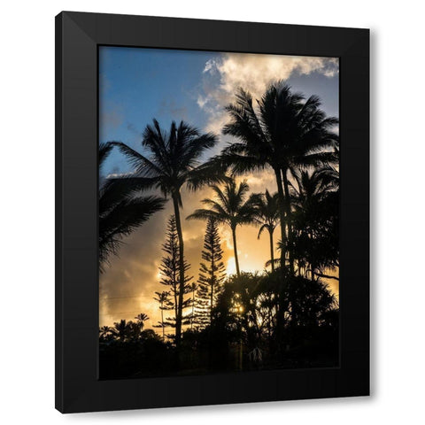 Palm Silouette II Black Modern Wood Framed Art Print with Double Matting by Head, Danny