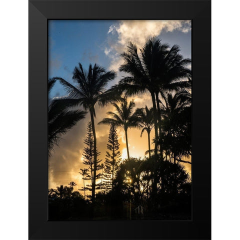Palm Silouette II Black Modern Wood Framed Art Print by Head, Danny