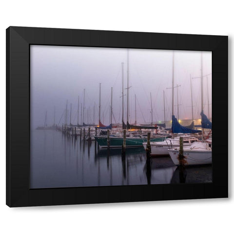 Sleepy Marina Black Modern Wood Framed Art Print by Head, Danny