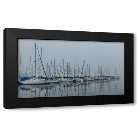 Foggy Marina II Black Modern Wood Framed Art Print with Double Matting by Head, Danny