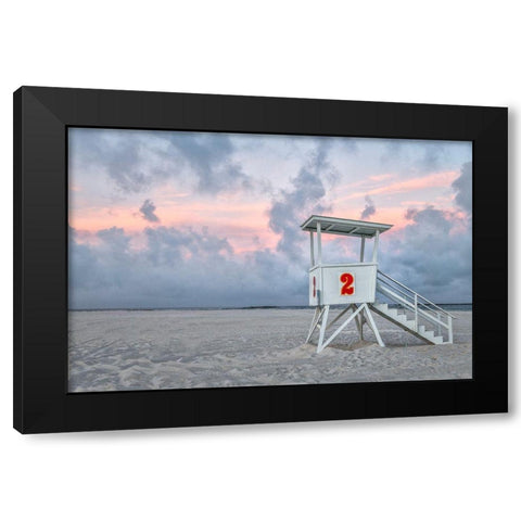 Standing Guard I Black Modern Wood Framed Art Print by Head, Danny