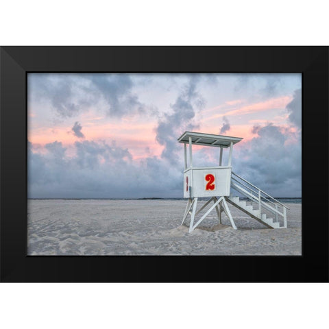 Standing Guard I Black Modern Wood Framed Art Print by Head, Danny