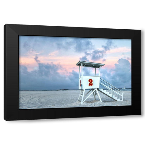 Standing Guard II Black Modern Wood Framed Art Print by Head, Danny