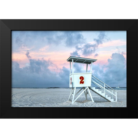 Standing Guard II Black Modern Wood Framed Art Print by Head, Danny