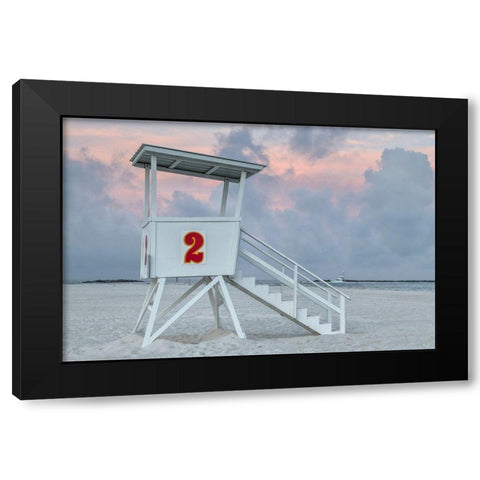 Standing Guard III Black Modern Wood Framed Art Print by Head, Danny