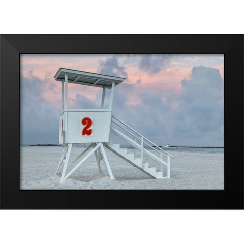 Standing Guard III Black Modern Wood Framed Art Print by Head, Danny