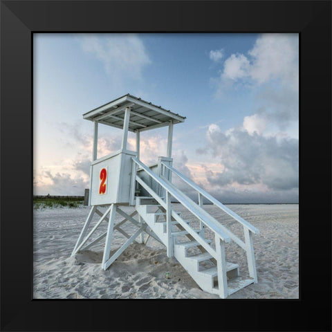 Standing Guard IV Black Modern Wood Framed Art Print by Head, Danny