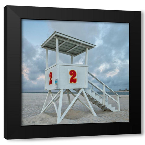 Standing Guard V Black Modern Wood Framed Art Print by Head, Danny