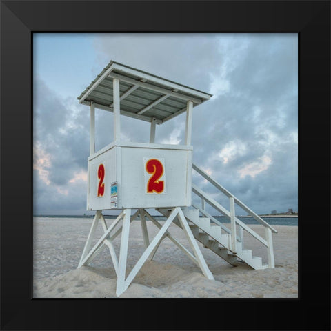 Standing Guard V Black Modern Wood Framed Art Print by Head, Danny