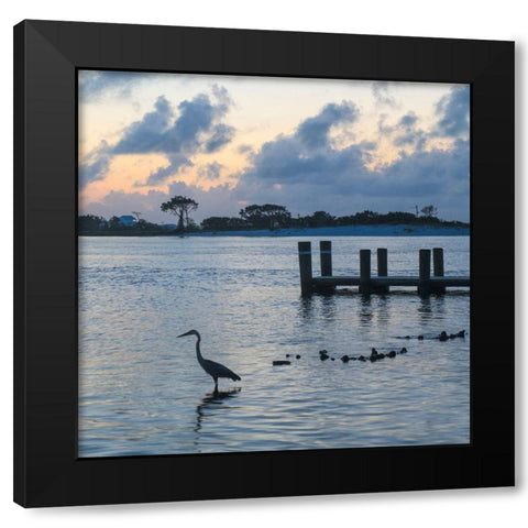 Blue Heron Black Modern Wood Framed Art Print by Head, Danny