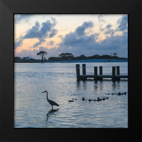 Blue Heron Black Modern Wood Framed Art Print by Head, Danny