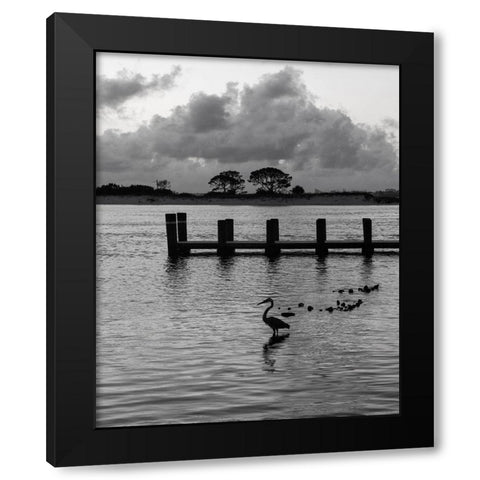 Morning at the Pass Black Modern Wood Framed Art Print with Double Matting by Head, Danny