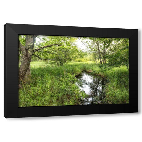 Reflecting Pool Black Modern Wood Framed Art Print with Double Matting by Head, Danny