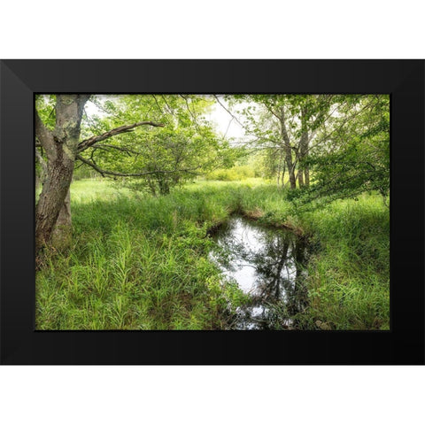 Reflecting Pool Black Modern Wood Framed Art Print by Head, Danny