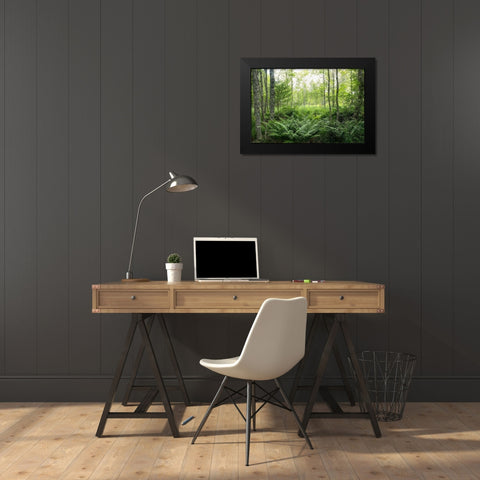 Woodlands Black Modern Wood Framed Art Print by Head, Danny