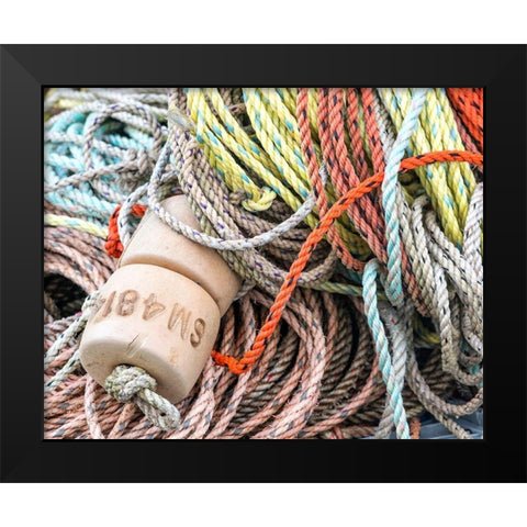 Knowing the Ropes I Black Modern Wood Framed Art Print by Head, Danny