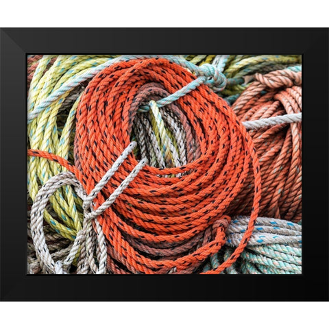 Knowing the Ropes II Black Modern Wood Framed Art Print by Head, Danny