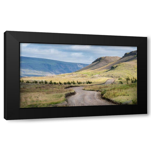 Herding Sheep I Black Modern Wood Framed Art Print by Head, Danny