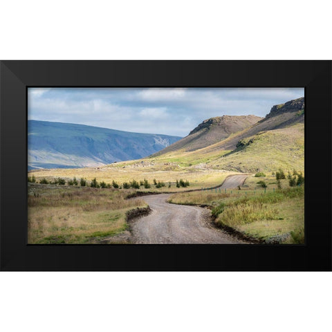 Herding Sheep I Black Modern Wood Framed Art Print by Head, Danny