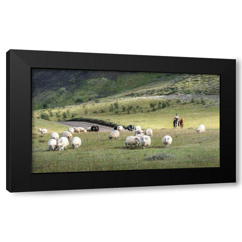 Herding Sheep III Black Modern Wood Framed Art Print by Head, Danny