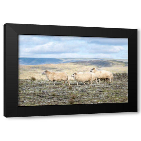 Three Friends Black Modern Wood Framed Art Print by Head, Danny