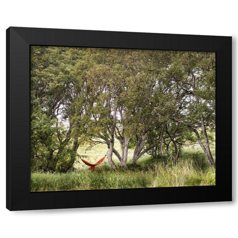 Red Hammock Black Modern Wood Framed Art Print by Head, Danny