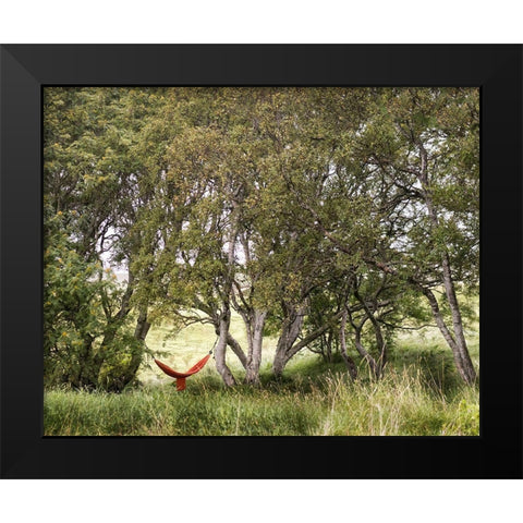 Red Hammock Black Modern Wood Framed Art Print by Head, Danny