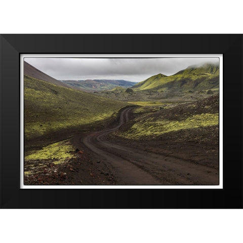 Chocolate Mint Black Modern Wood Framed Art Print by Head, Danny