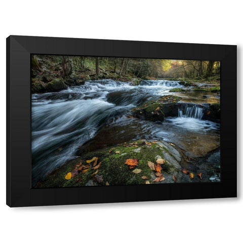 Mossy Rocks Black Modern Wood Framed Art Print by Head, Danny