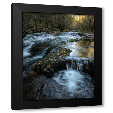 Moss and Leaves Black Modern Wood Framed Art Print by Head, Danny