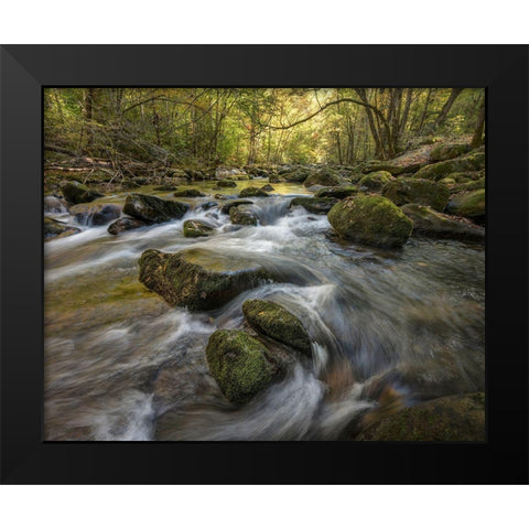 Under the Laurel Black Modern Wood Framed Art Print by Head, Danny