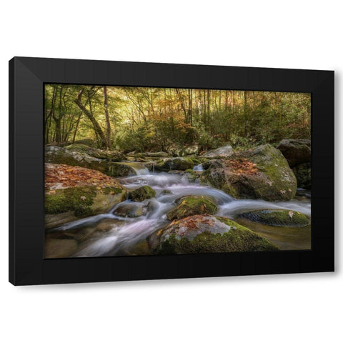 Listen Closely Black Modern Wood Framed Art Print by Head, Danny