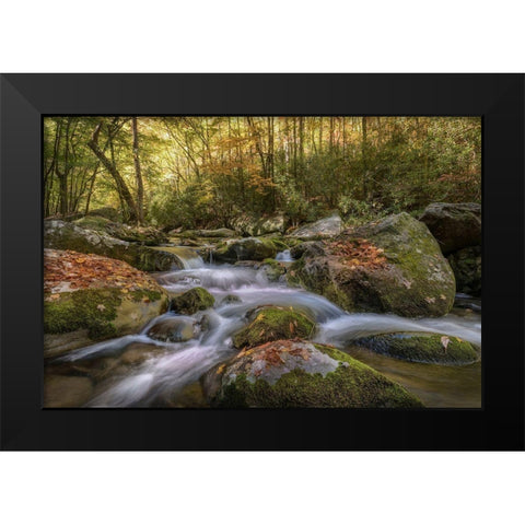 Listen Closely Black Modern Wood Framed Art Print by Head, Danny