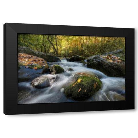 Yellow Leaf Black Modern Wood Framed Art Print by Head, Danny