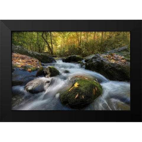 Yellow Leaf Black Modern Wood Framed Art Print by Head, Danny