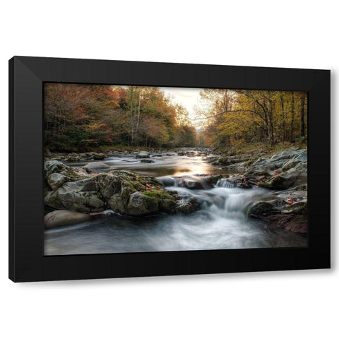 First Light at Greenbrier Black Modern Wood Framed Art Print by Head, Danny