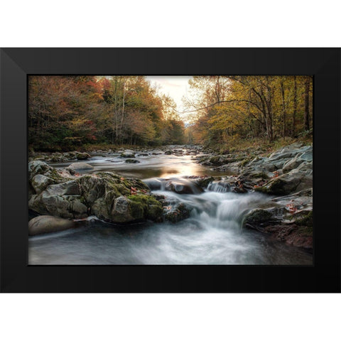 First Light at Greenbrier Black Modern Wood Framed Art Print by Head, Danny