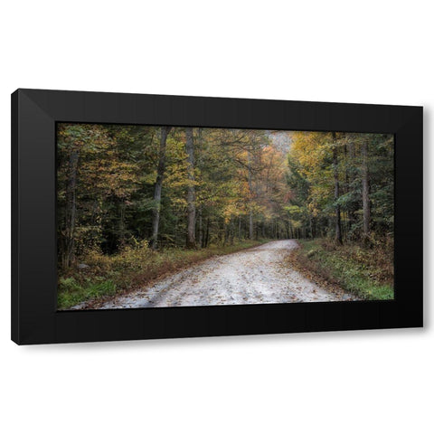 Crusing Greenbrier I Black Modern Wood Framed Art Print by Head, Danny