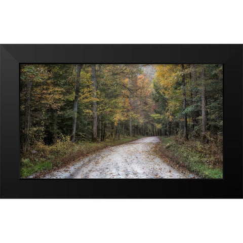 Crusing Greenbrier I Black Modern Wood Framed Art Print by Head, Danny