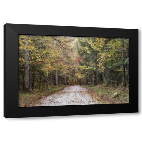 Crusing Greenbrier II Black Modern Wood Framed Art Print by Head, Danny