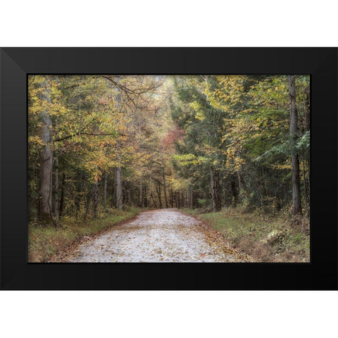 Crusing Greenbrier II Black Modern Wood Framed Art Print by Head, Danny