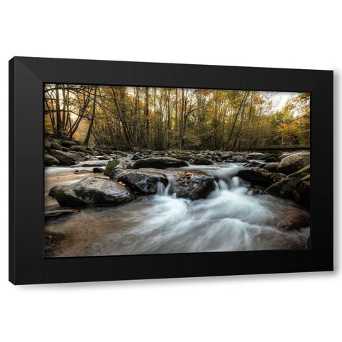 Amber Autumn I Black Modern Wood Framed Art Print with Double Matting by Head, Danny