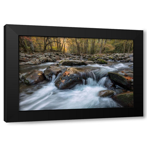 Rust Leaf Black Modern Wood Framed Art Print by Head, Danny