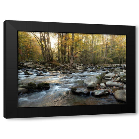 Reflecting Sunrise Black Modern Wood Framed Art Print with Double Matting by Head, Danny